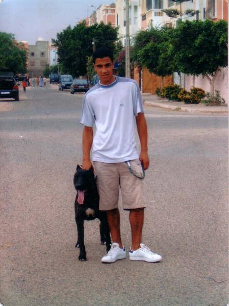 mafiadagadir